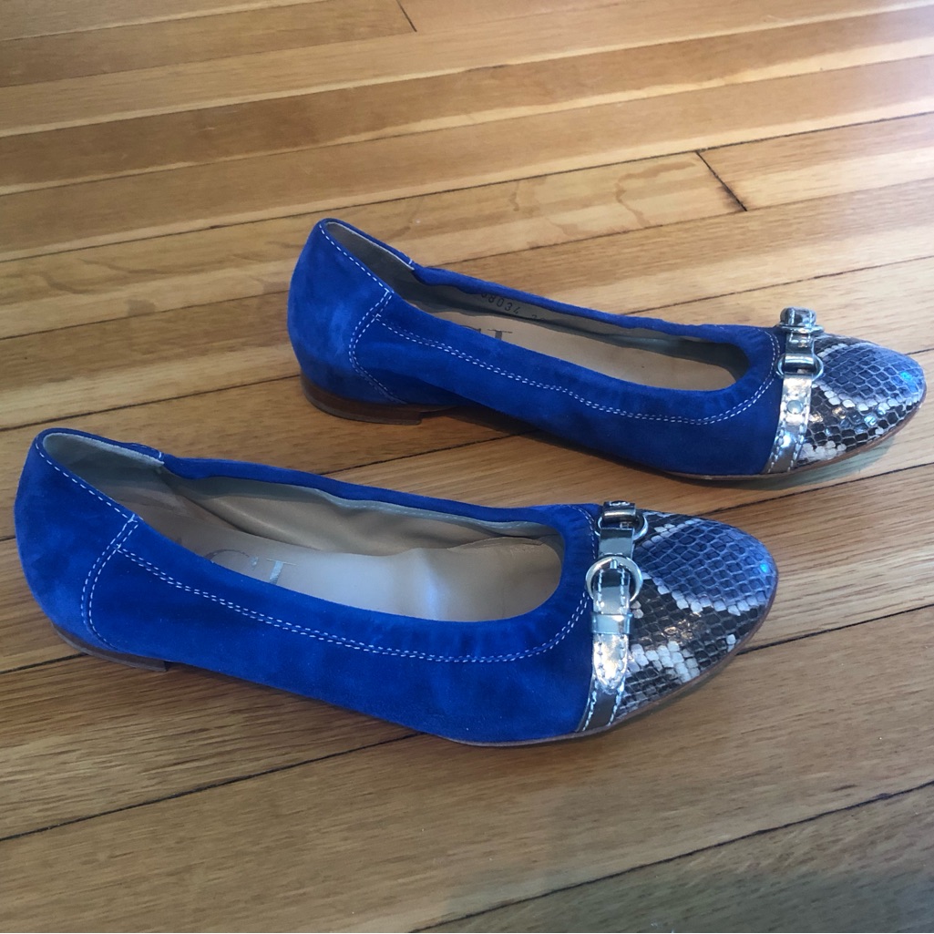 Agl - Monika Toe Cap Ballet Flat (Blue And Snakeskin)